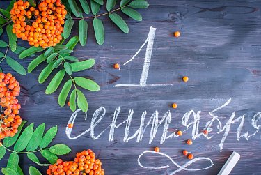 1 сентября в школы области придут более 252 тысяч учеников 